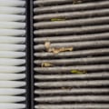 Finding the Best Budget 18x18x1 Air Filter for Pet Dander to Keep Your Home Fresher and Cleaner